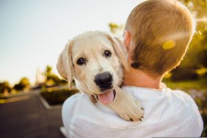 Comment accueillir un chien dans la famille