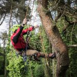 Campings avec parcours accrobranche