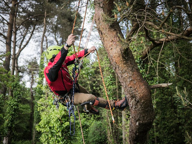 Quels campings offrent une expérience inoubliable avec des parcours accrobranche ?